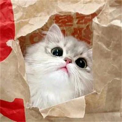 南京禾御奈企业管理有限公司