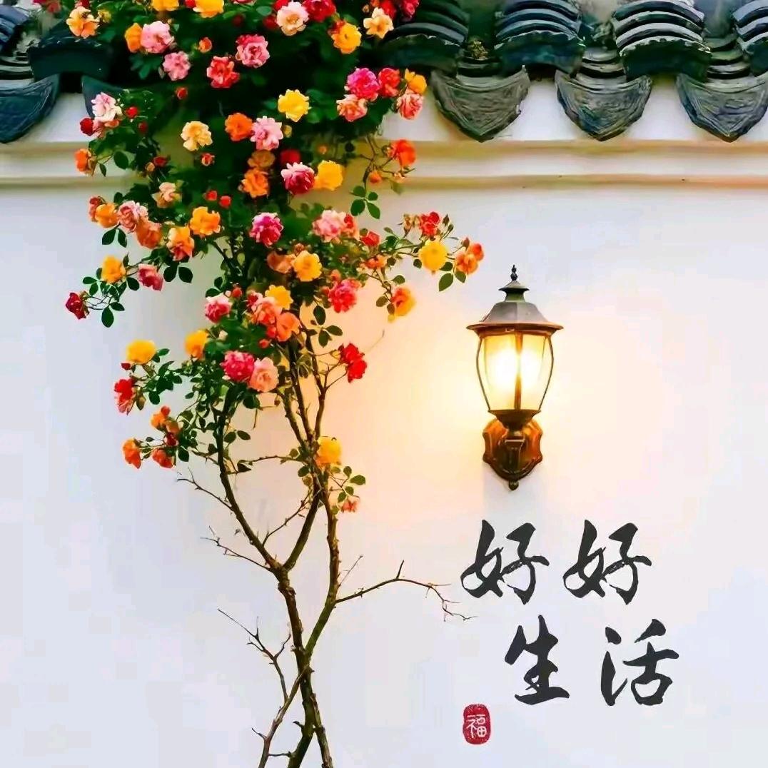 高兴的高高兴兴