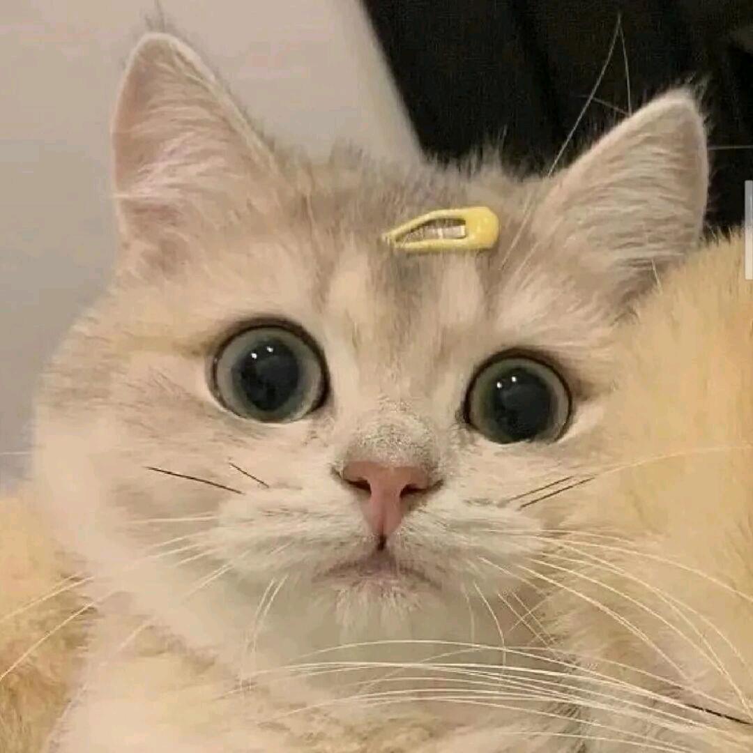 ゛