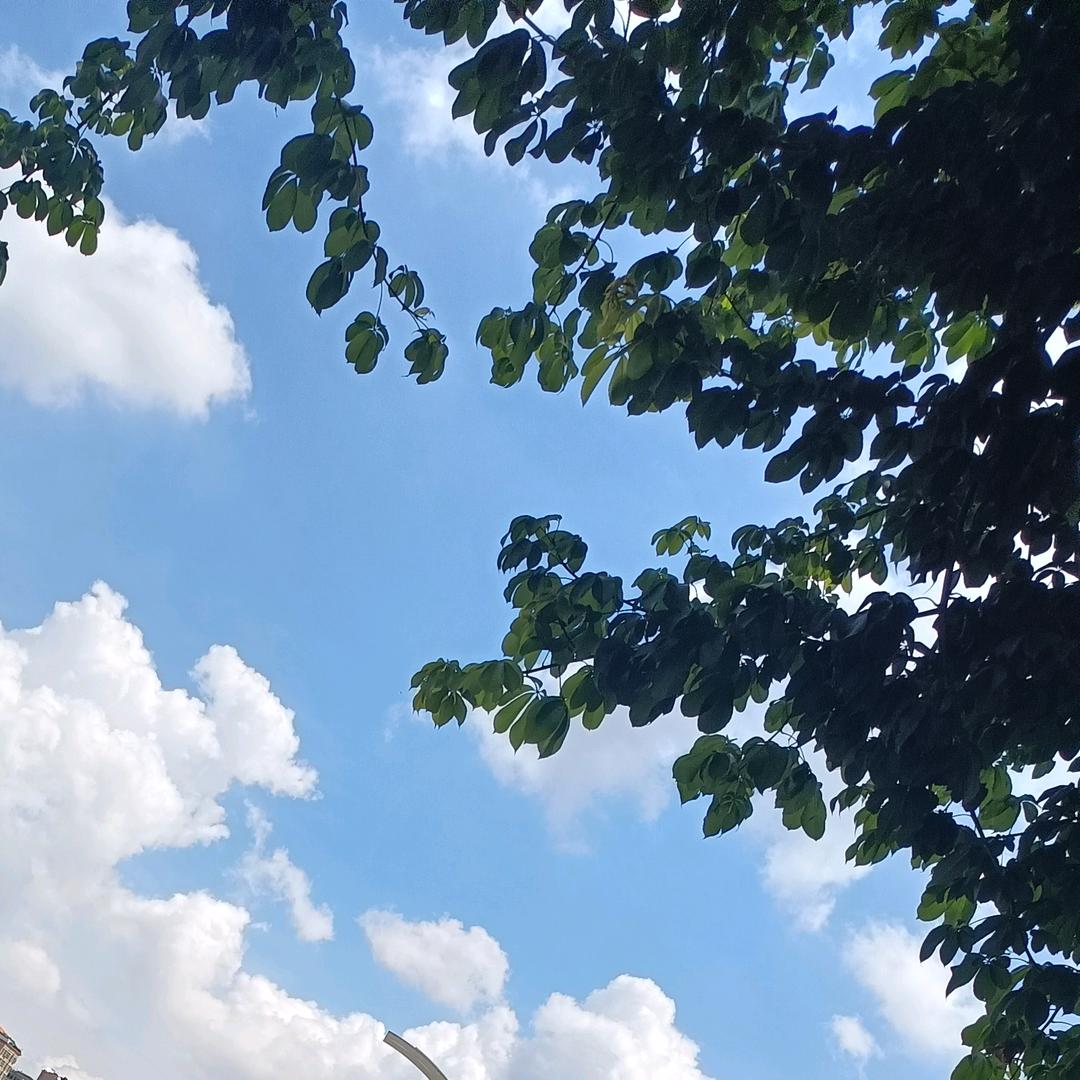 小彬彬