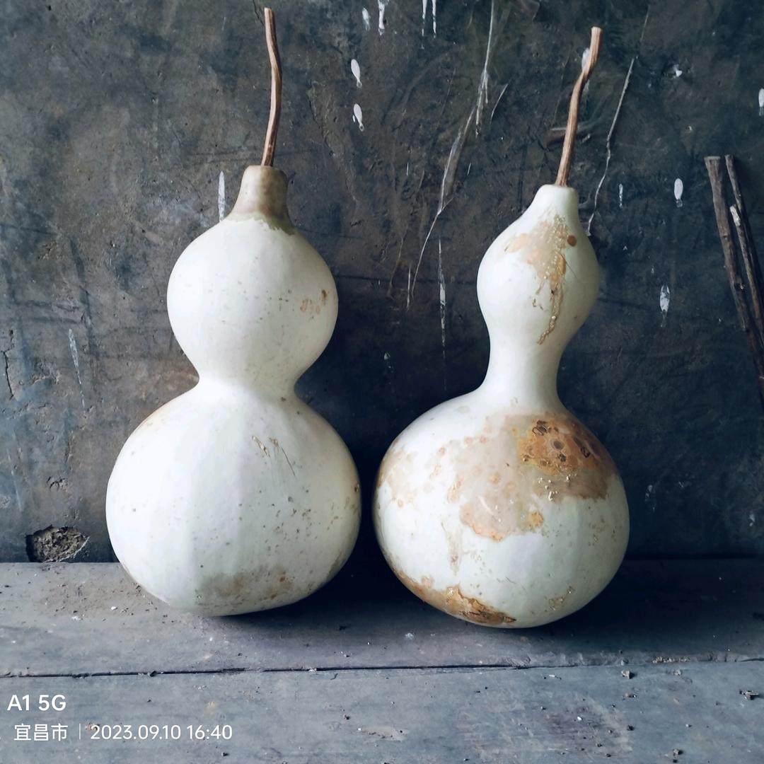 黄师傅