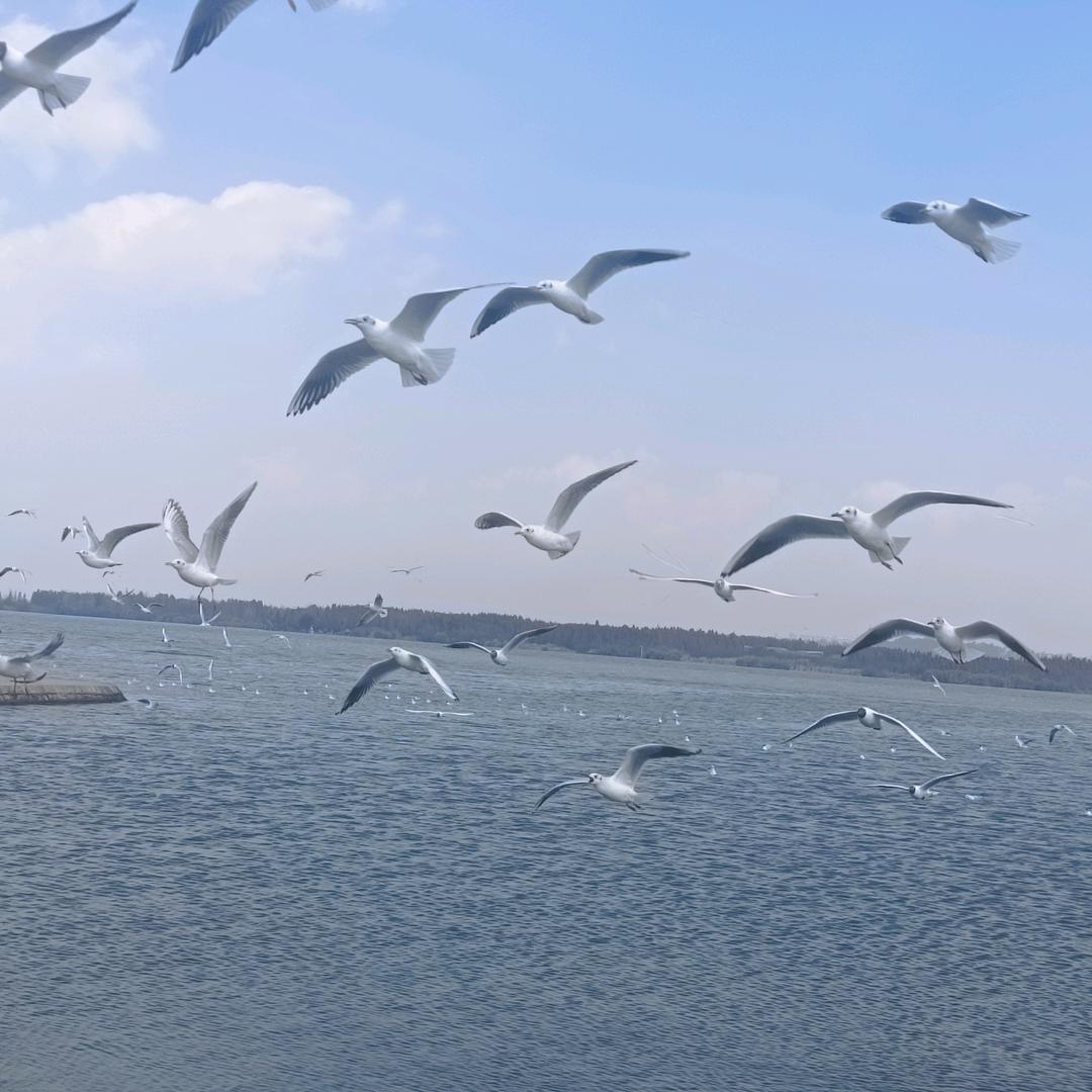 魅力八零