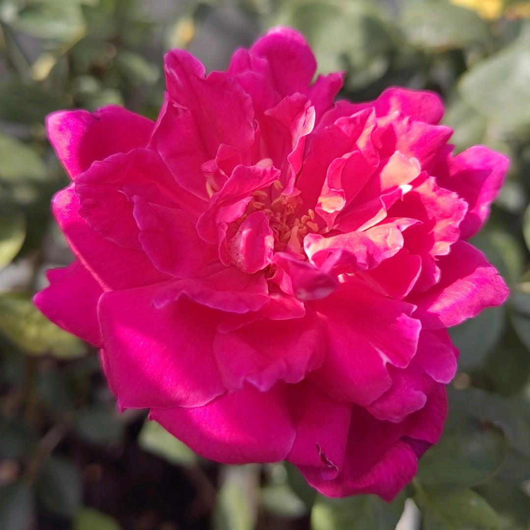 💐💐快乐每一天