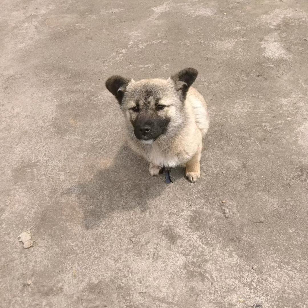大胡子。