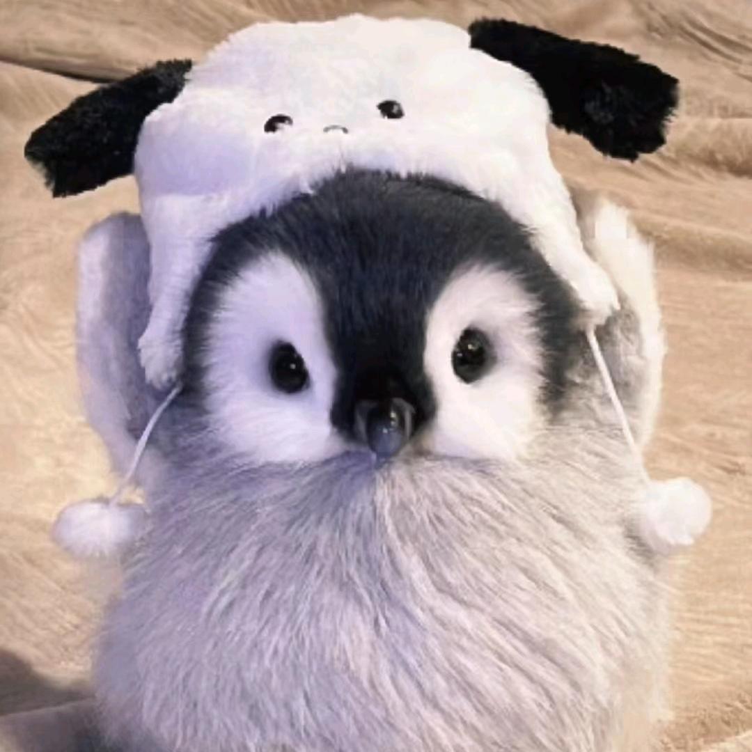 망고