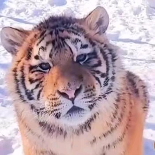 🌈柒号案馆🌈