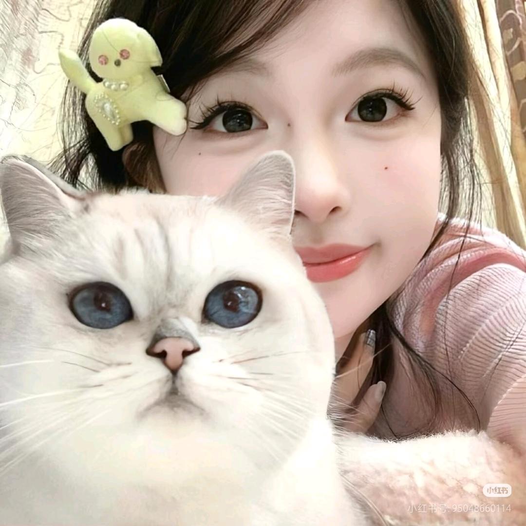 小李不讲理