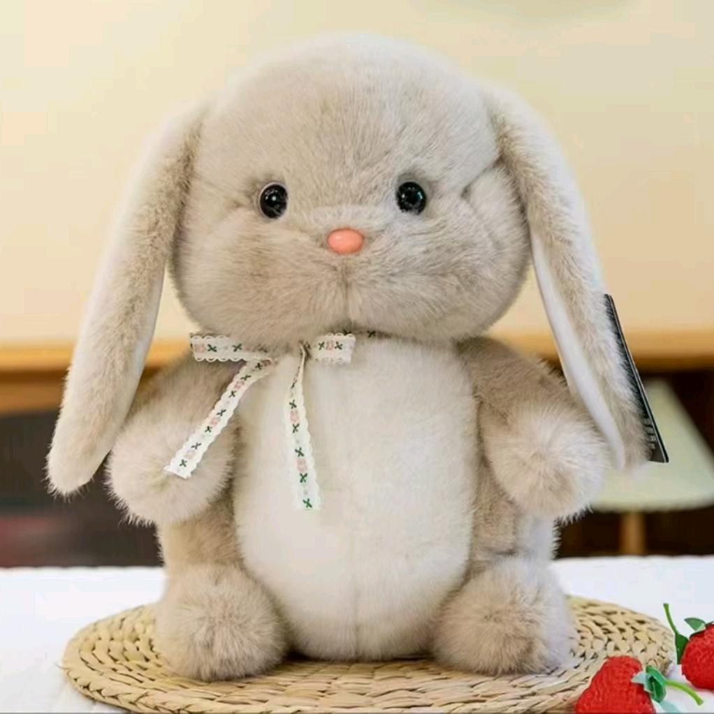 @@  💞为🥀你🌿停🎄留🌲