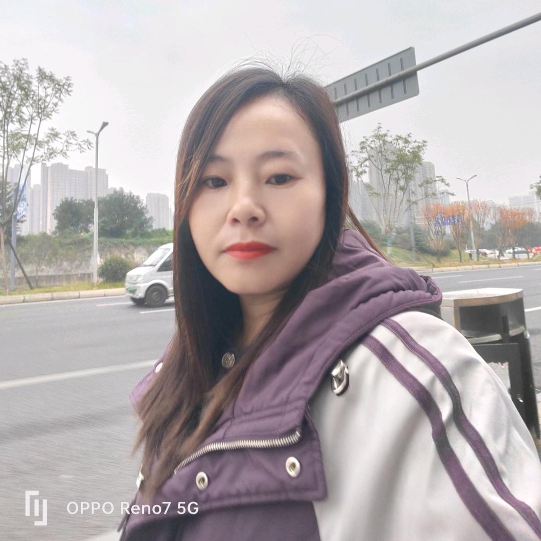 成都洪河半边街天庆二手市场。