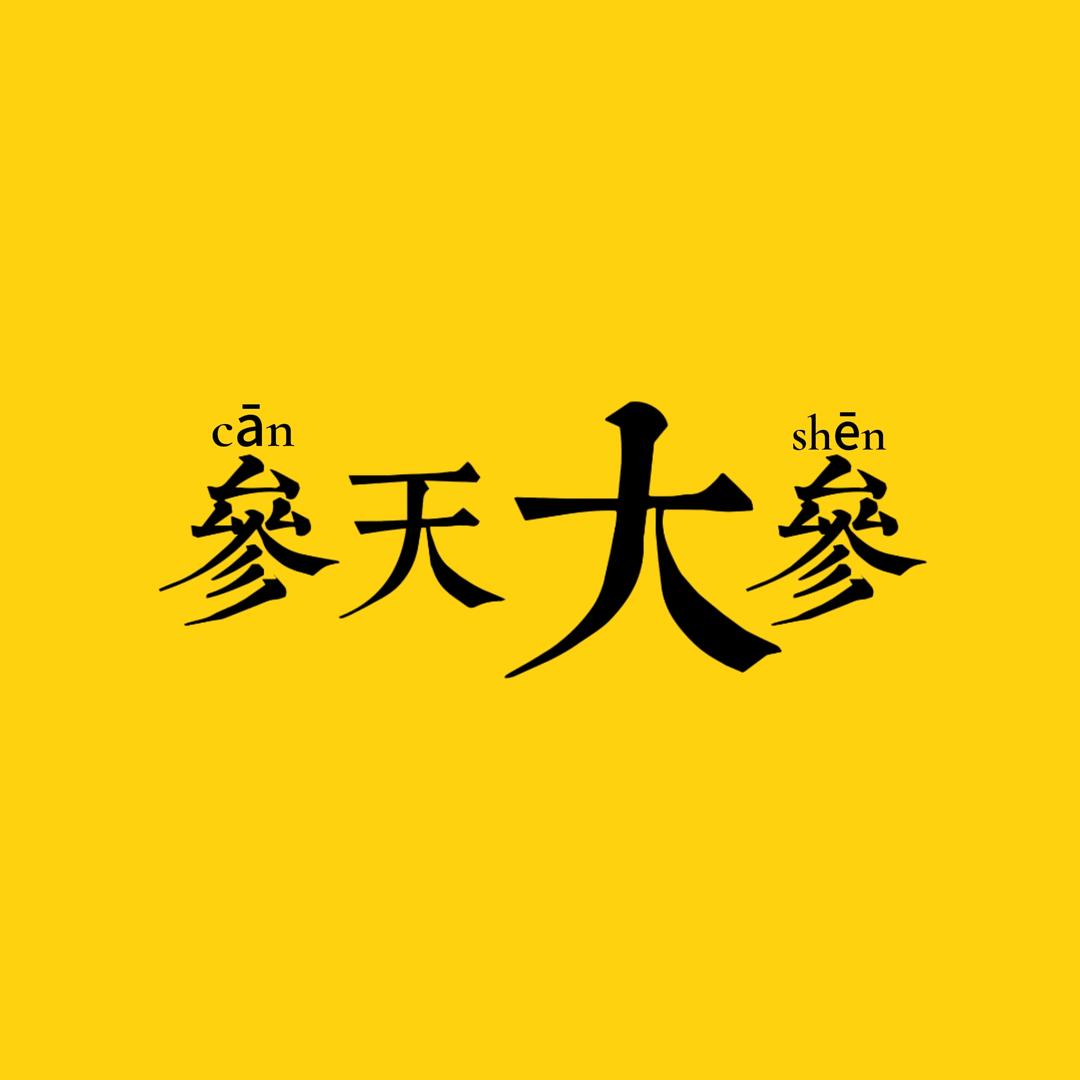 人参八宝粥JL🪨