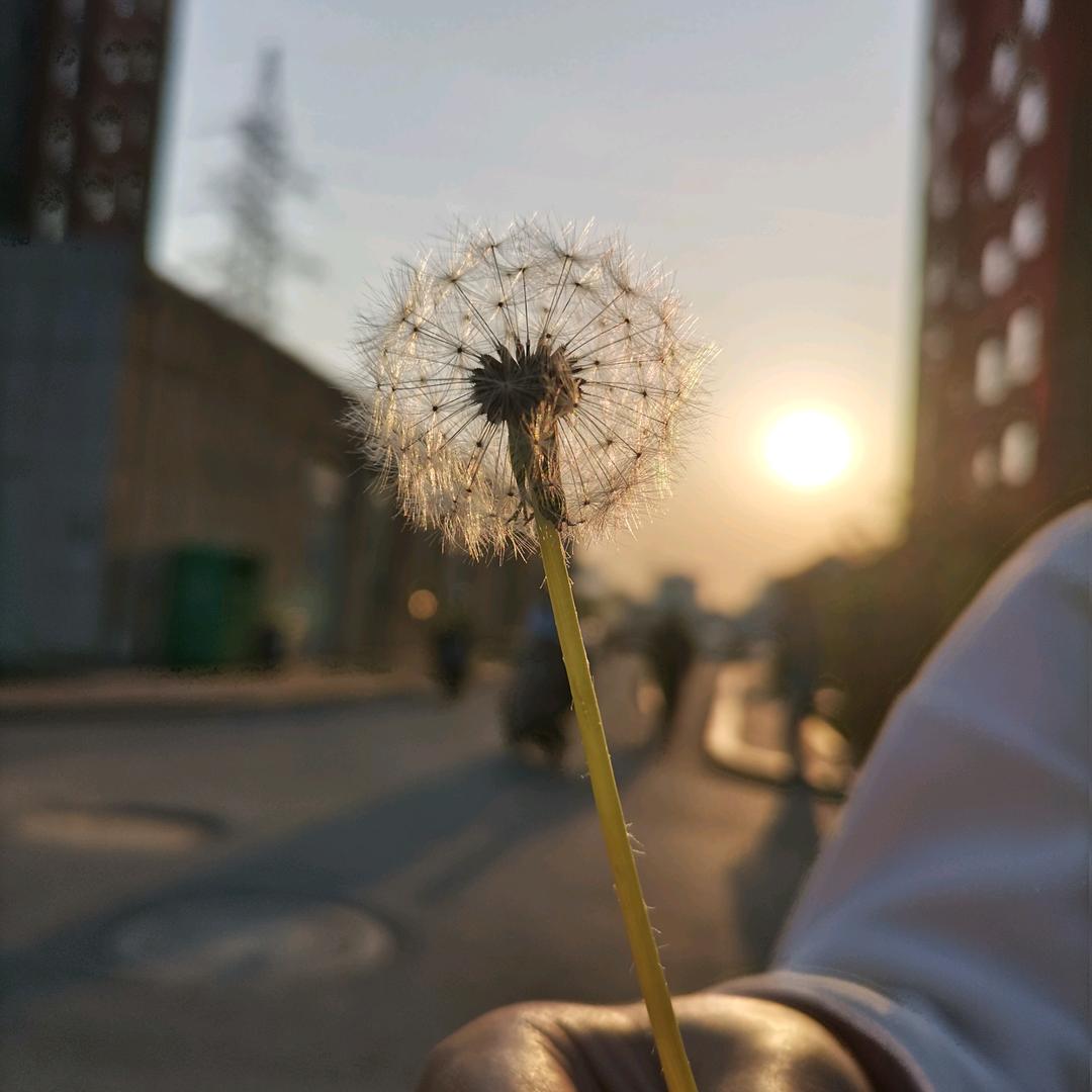 天空之外