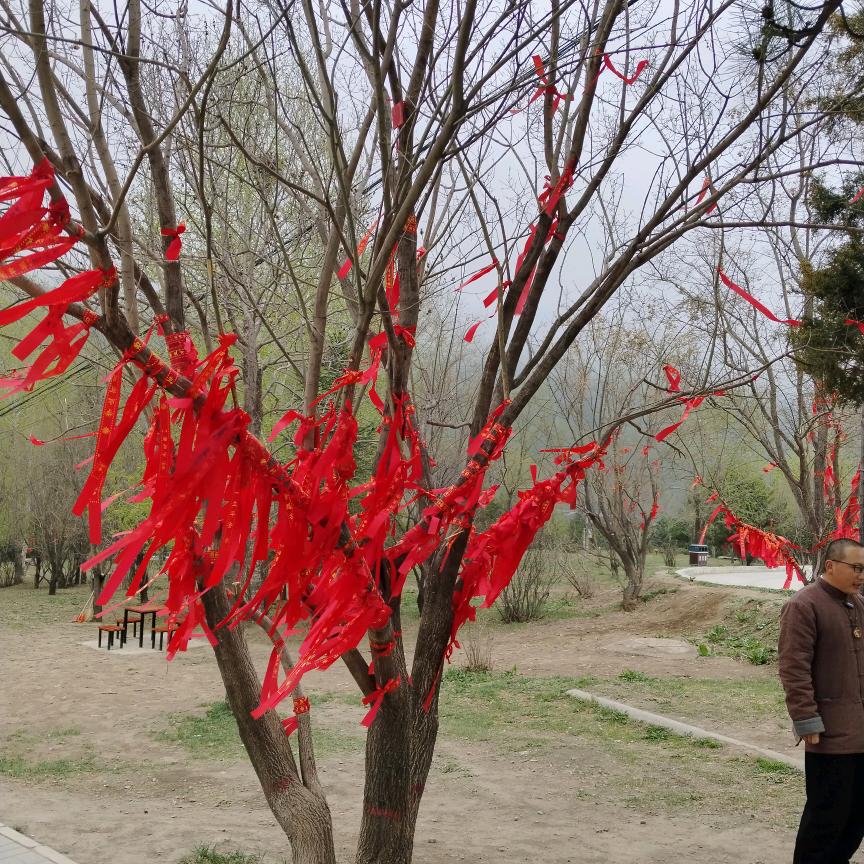 远离是福
