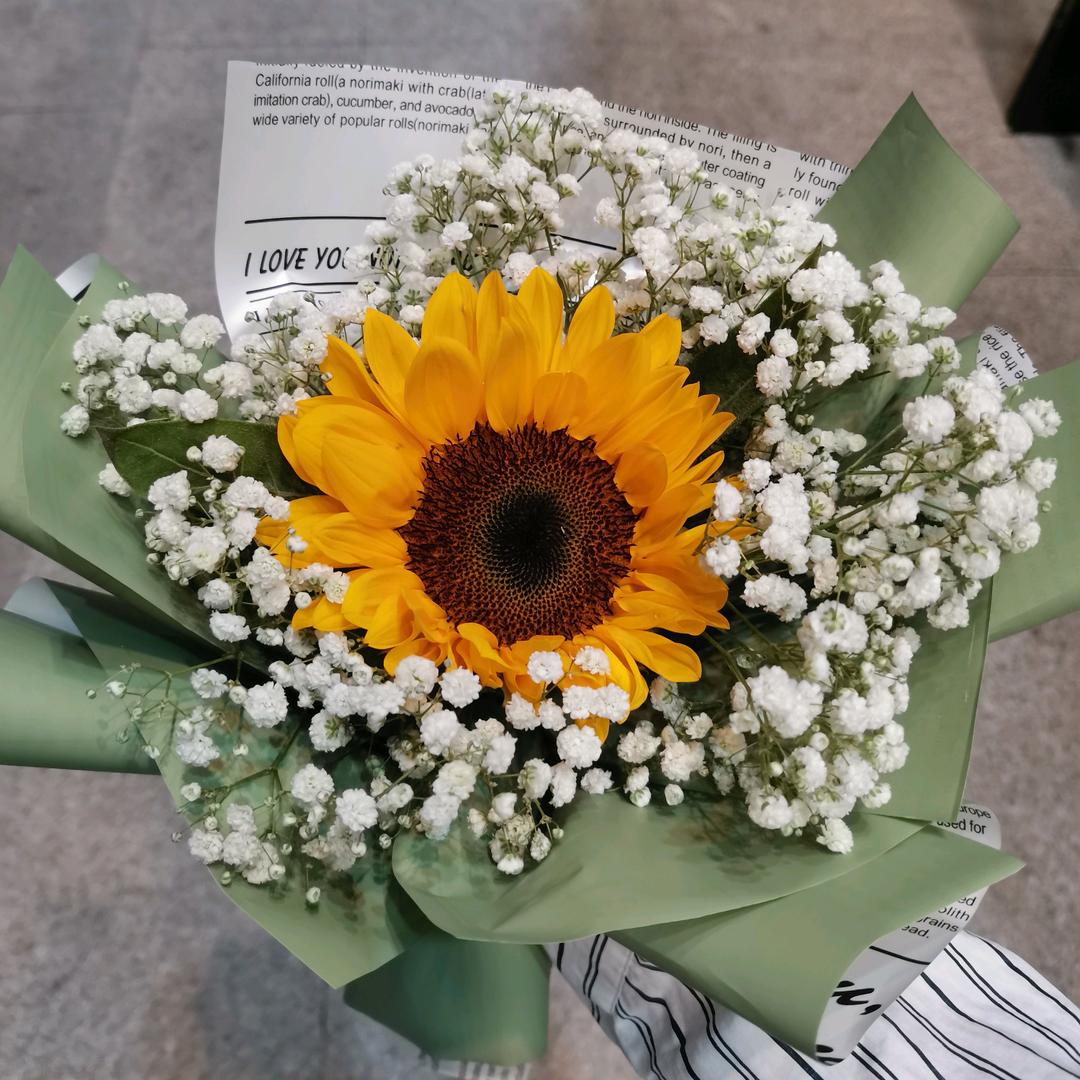 枕边月光-Yolo有关必回