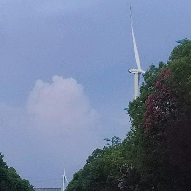 一只小羊