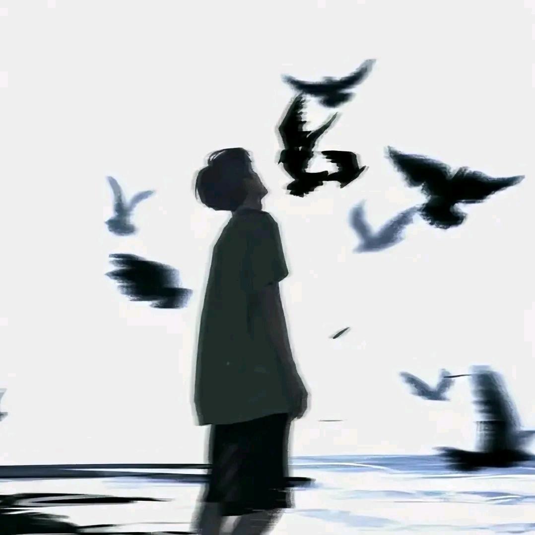 葬花吟·