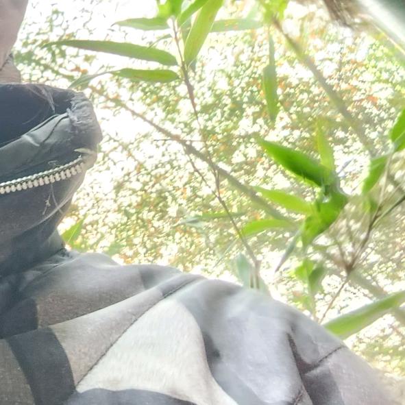 村菇姐（记录生活号）