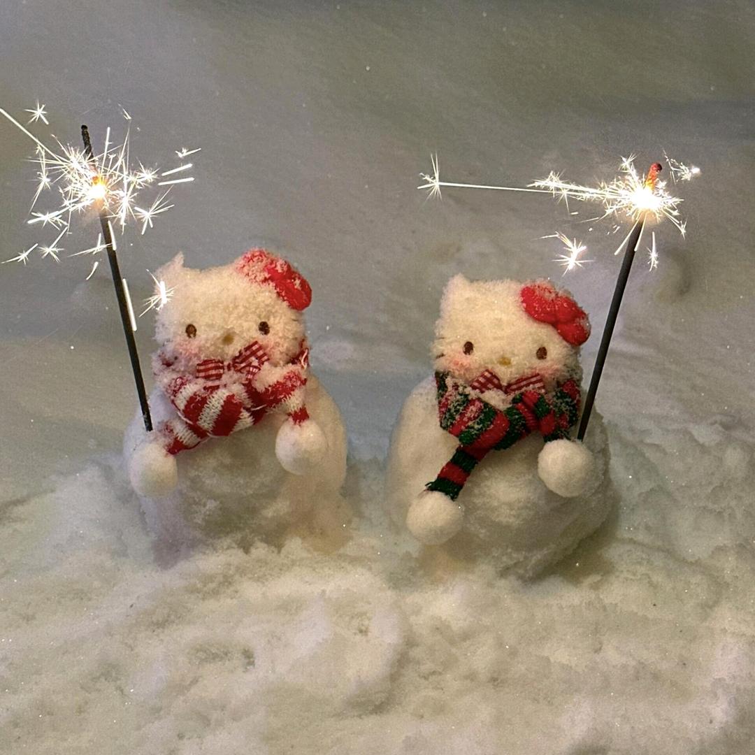 静雅轩  九九号