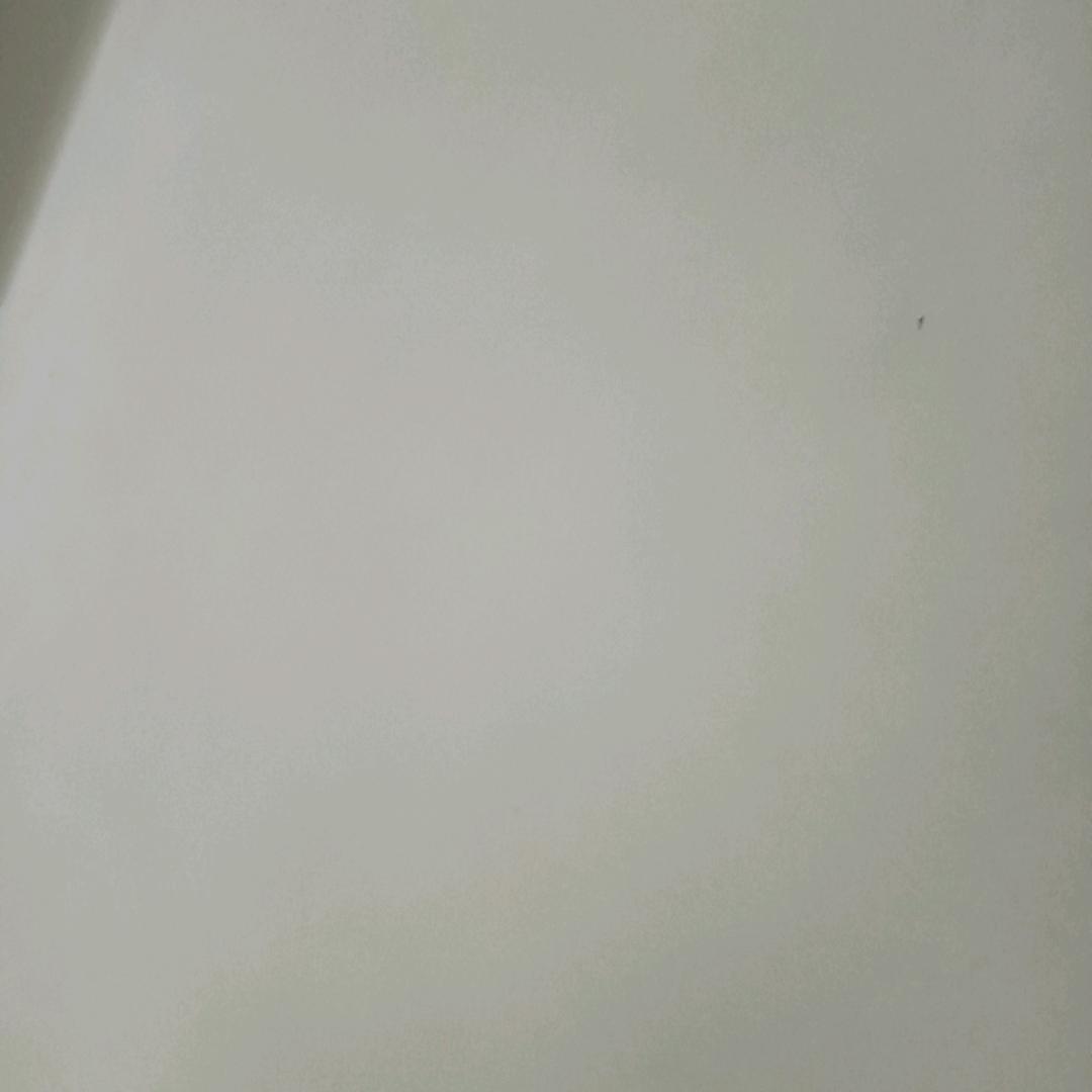 李