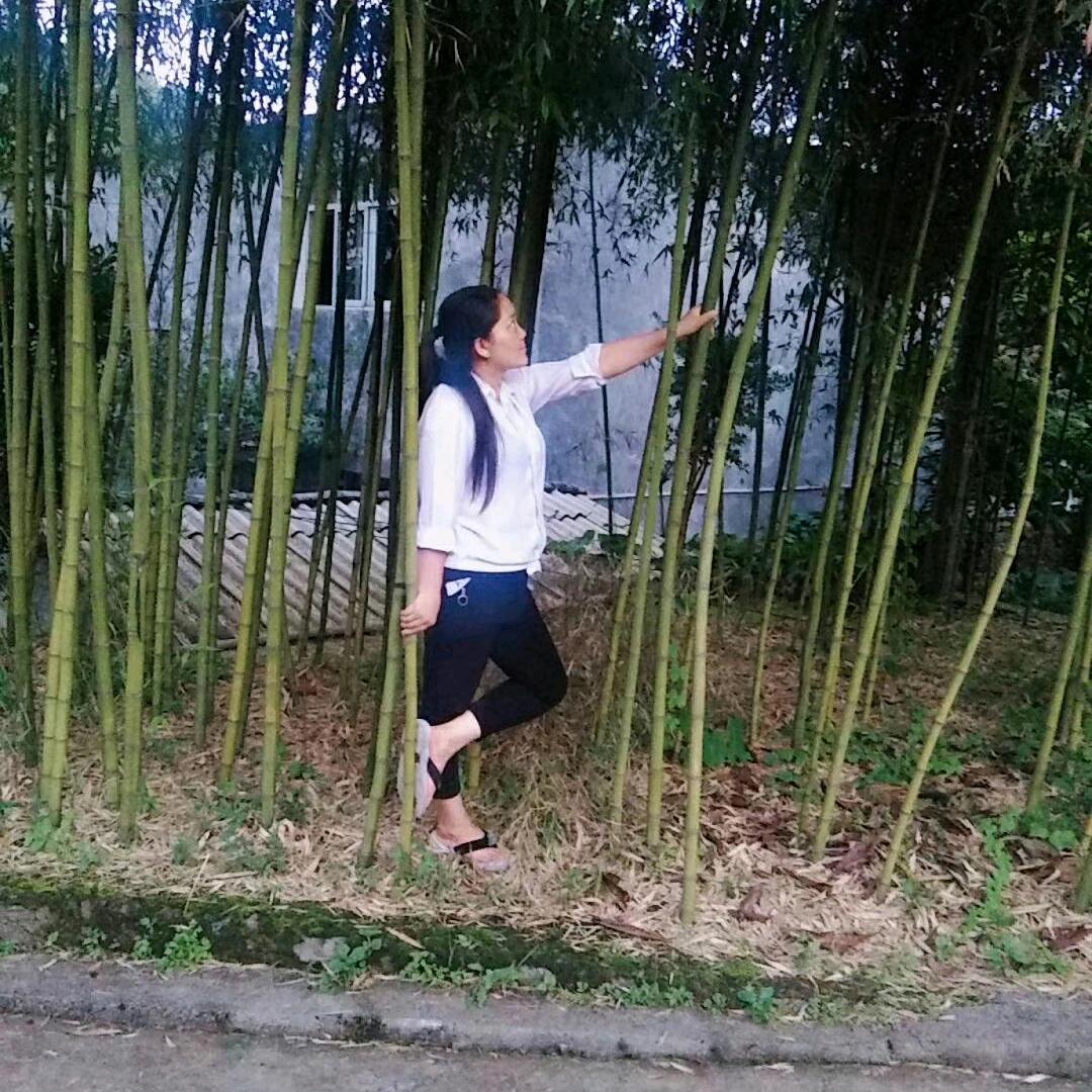 富贵鼠