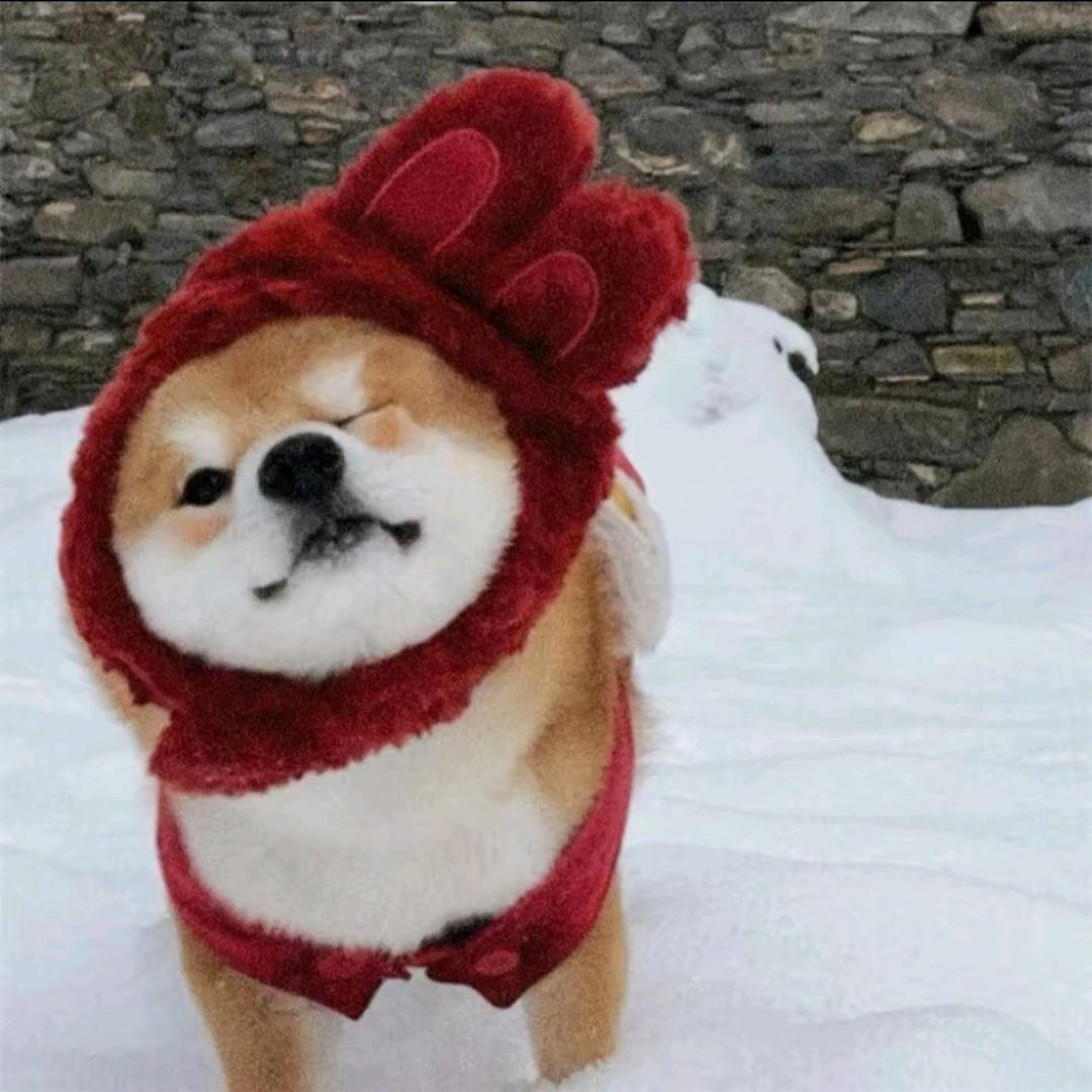 万童童