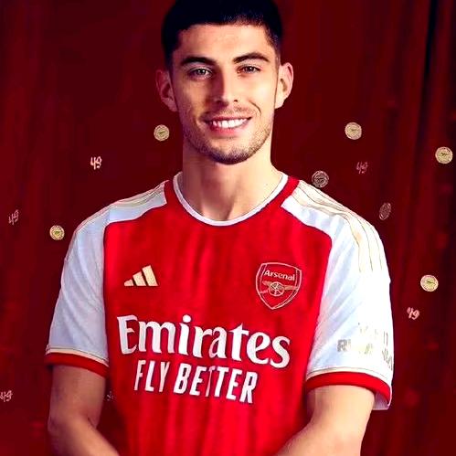 天才少年哈弗茨