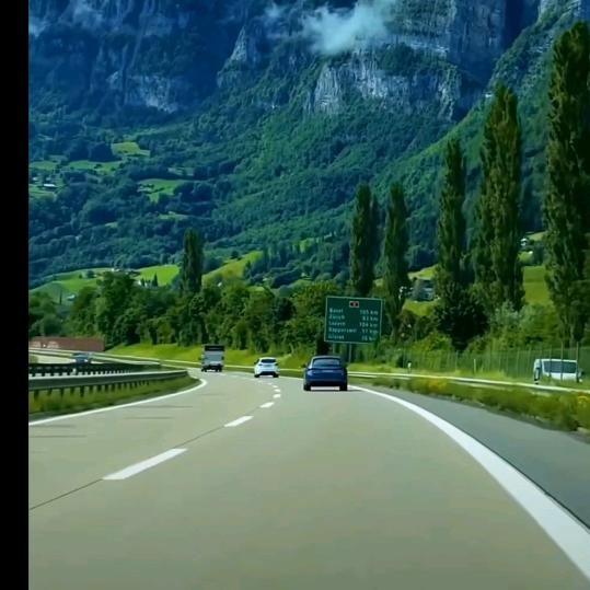 真亦假时假亦真