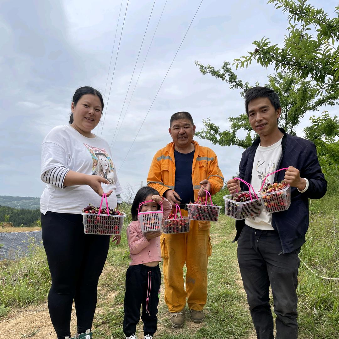 @车厘子汽车共享农场
