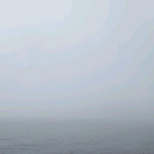 雾里看花
