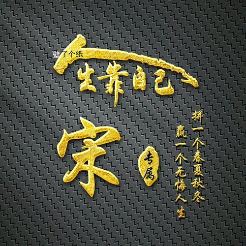 骑着蜗牛追飞机