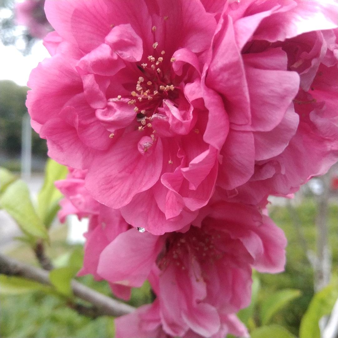 ℳꦿ٭温୫໊暖💕᭄如ཽ初୫໊࿐ℳꦿ٭