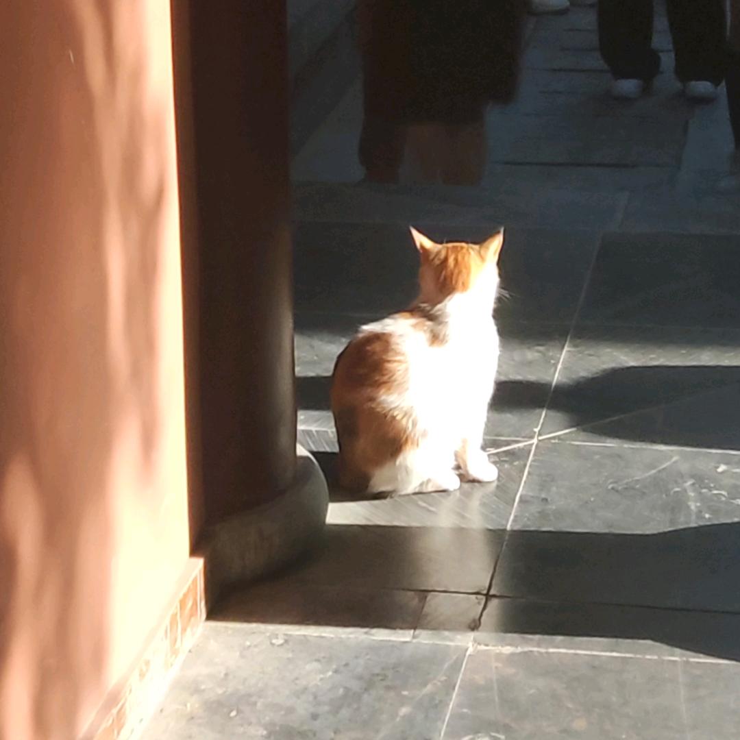 爱喝白水