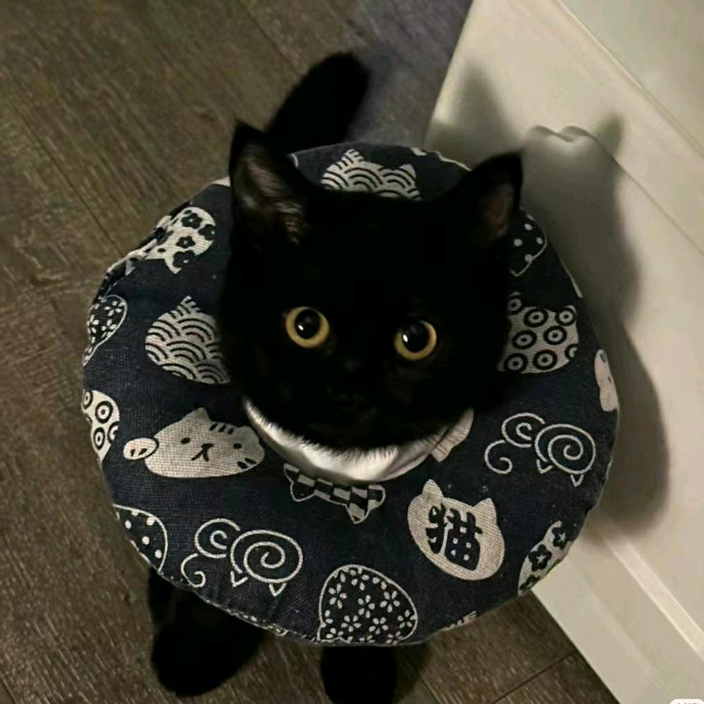 甜杆