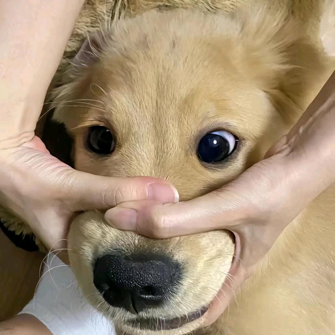 小冰～(⁎⁍̴̛ᴗ⁍̴̛⁎)