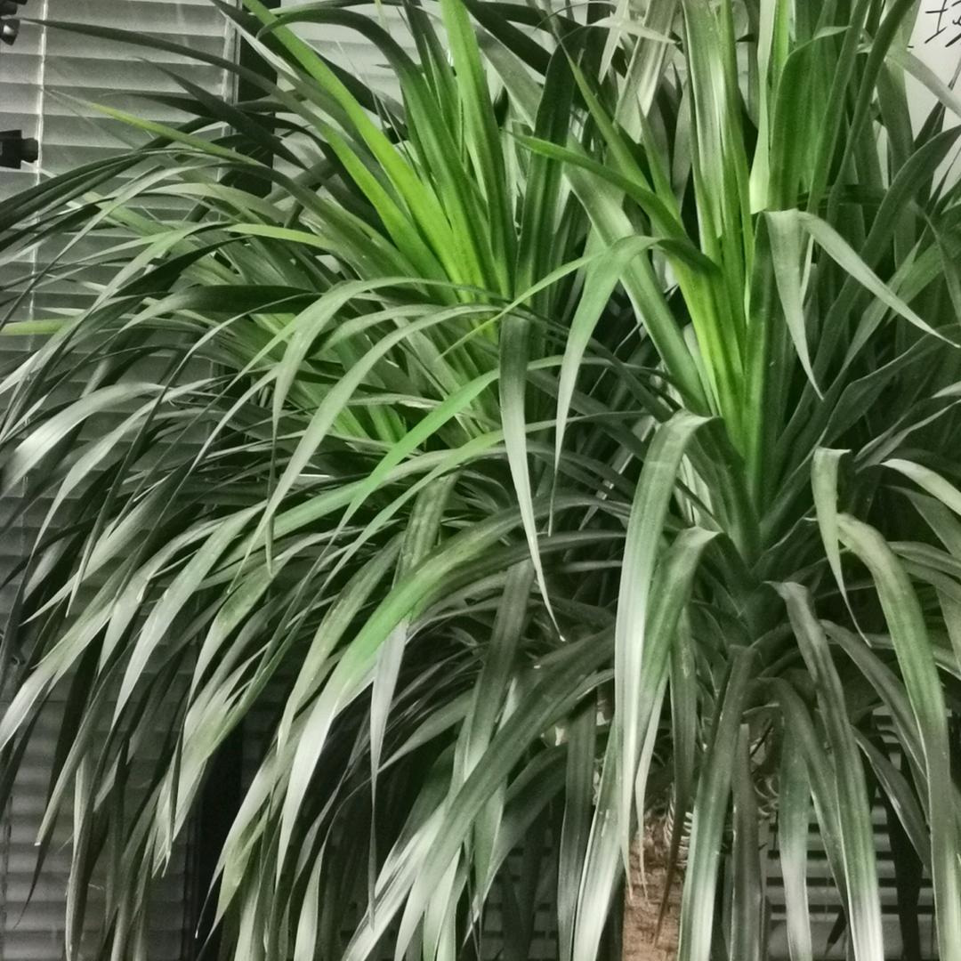 带你吃带你玩