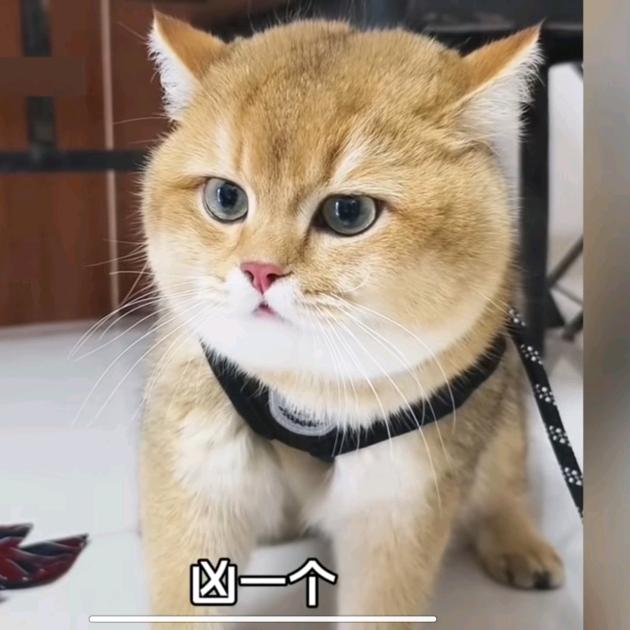 华启装修设计工作室