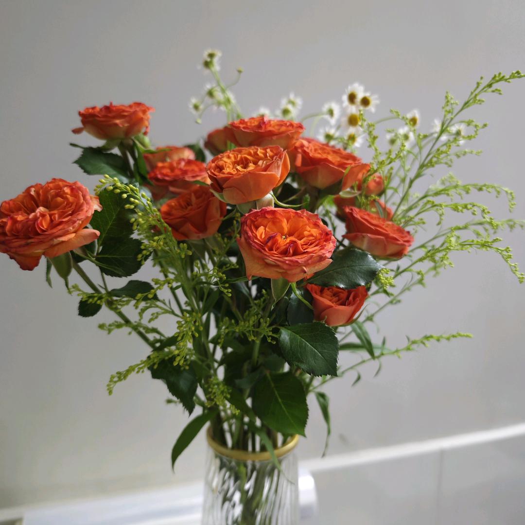 春暖花开，心许美好