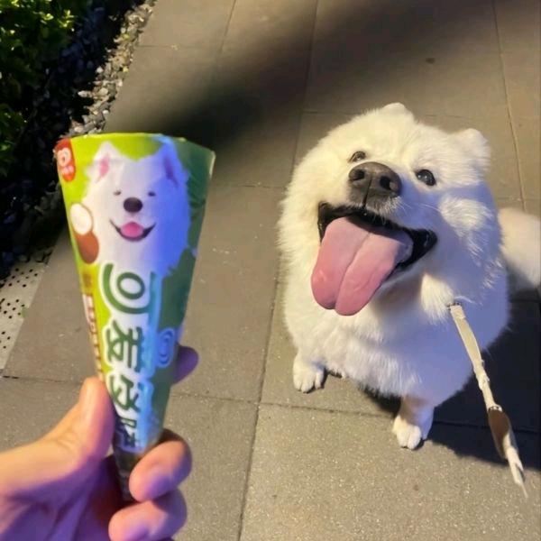 后槽牙都咬碎了！