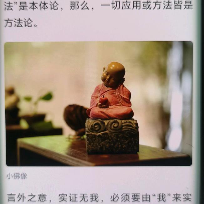 爱吃素炒豆角的张主任头像