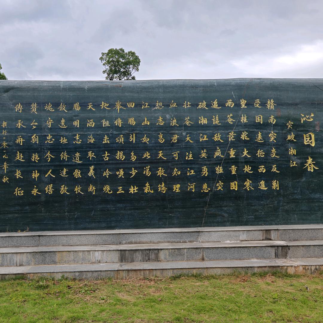 牛牛⭐️冰乐