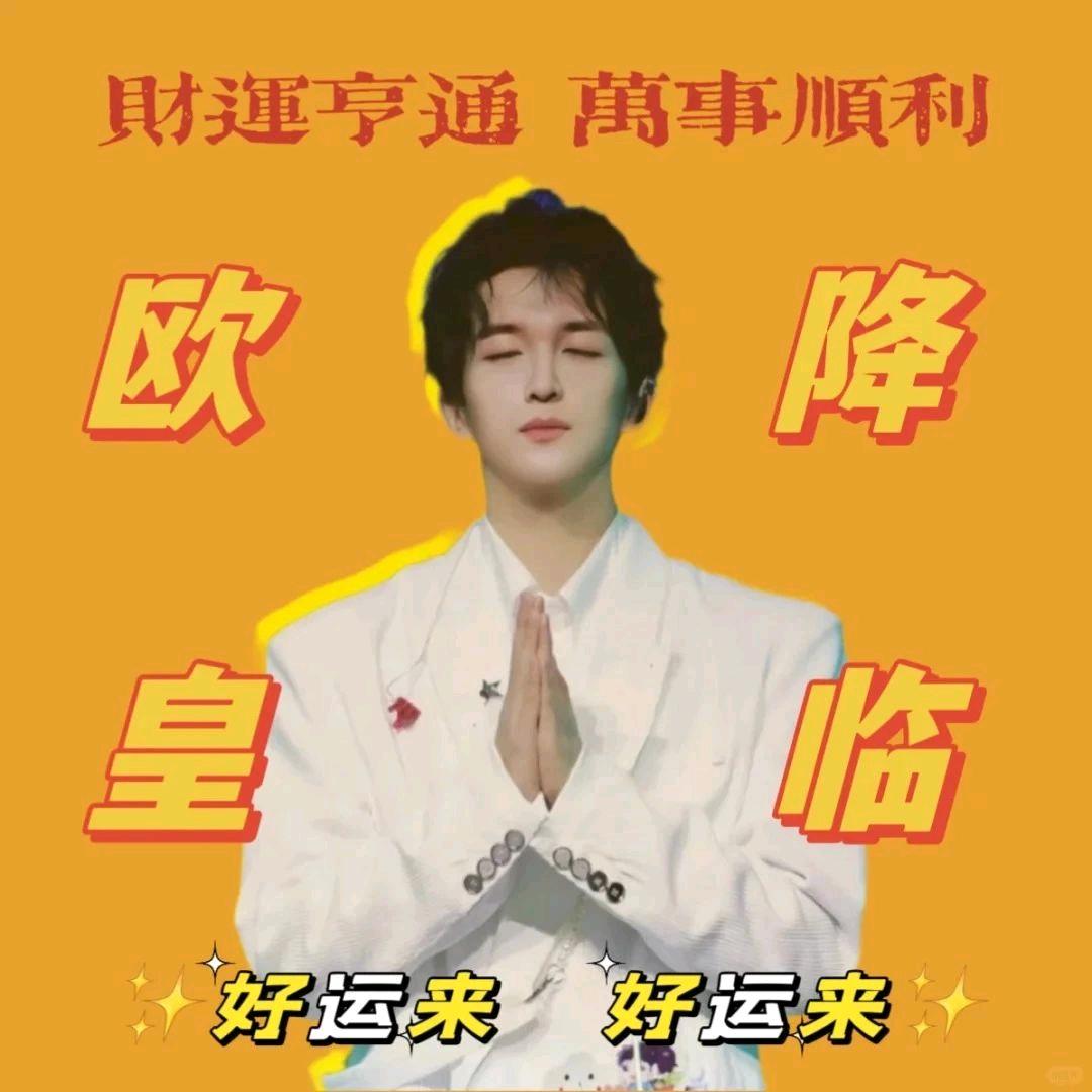 小杨想当个快乐的大人