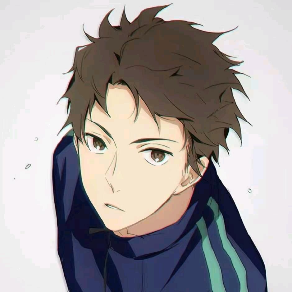 知更鸟