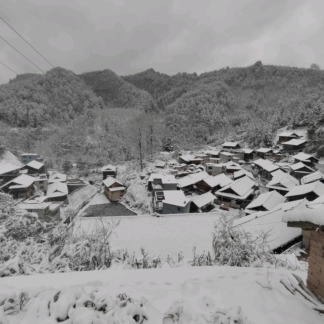 老林