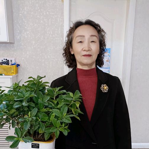 金色枫叶