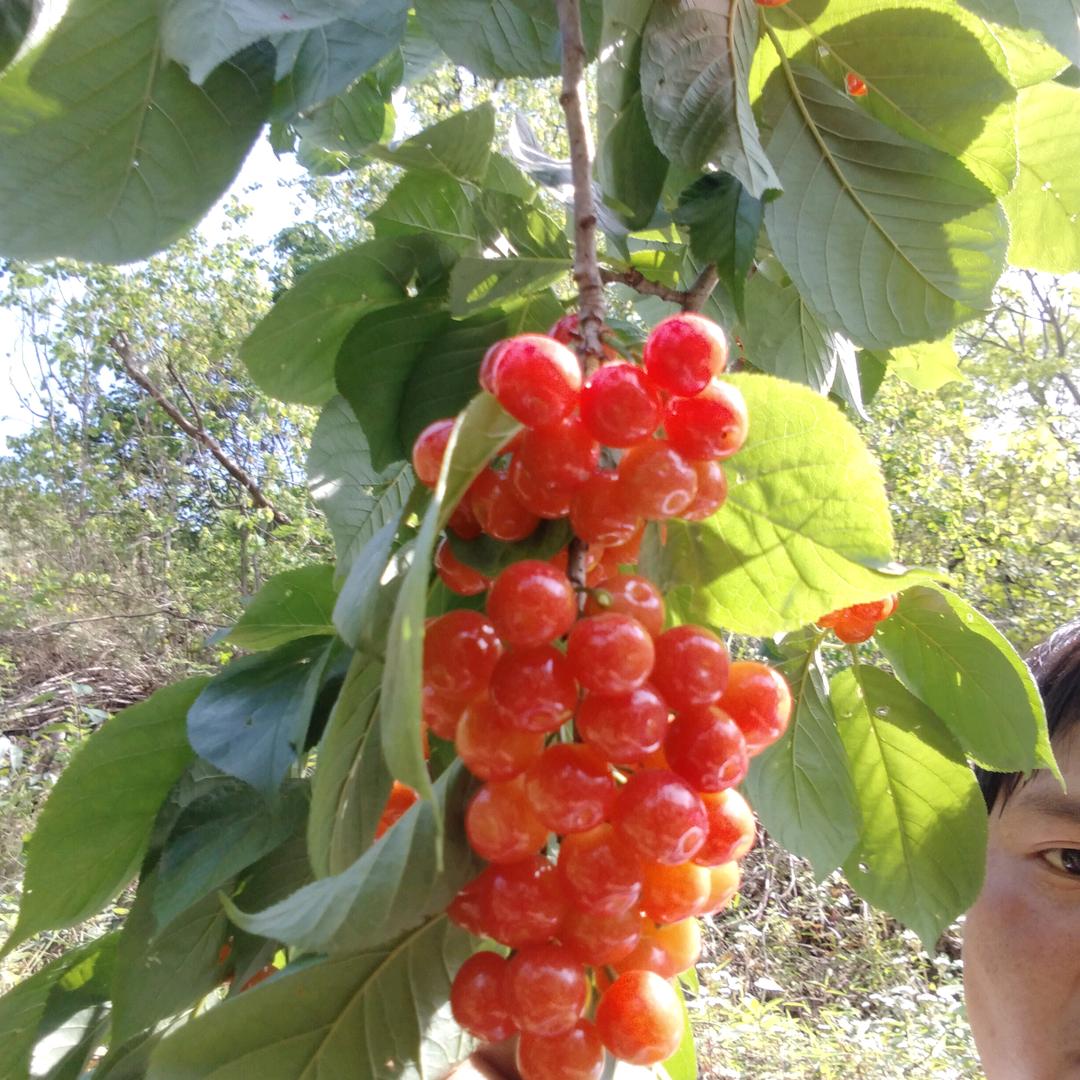 若水三千 ♥
