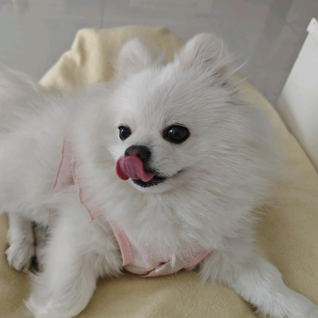 孤独前辈