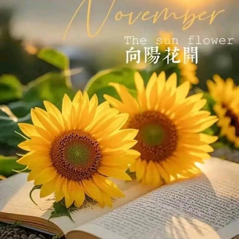 一缕暖阳