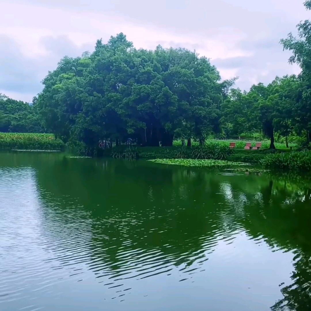 诚惠(JQD）