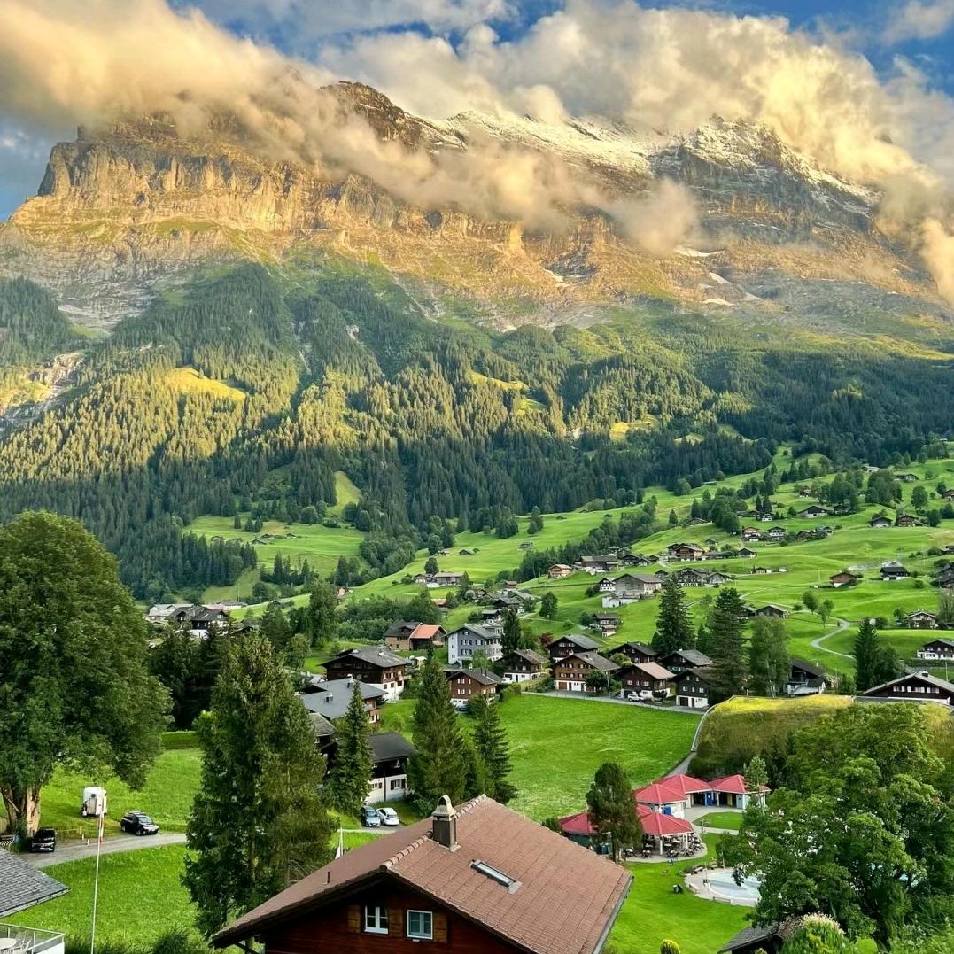 莎莎好物分享~新疆包邮（进橱窗可自行下单