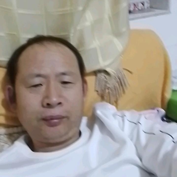 大灰兔
