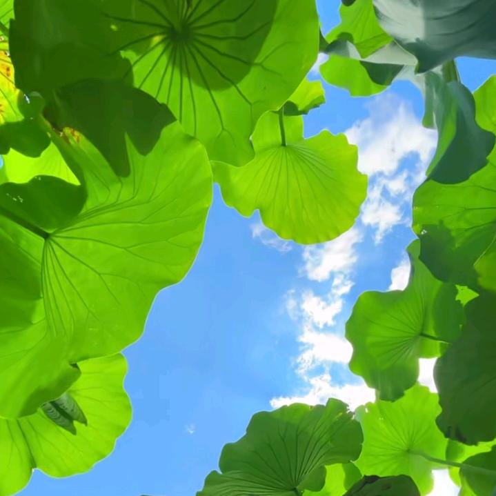 小小★幸福🧚‍♀️